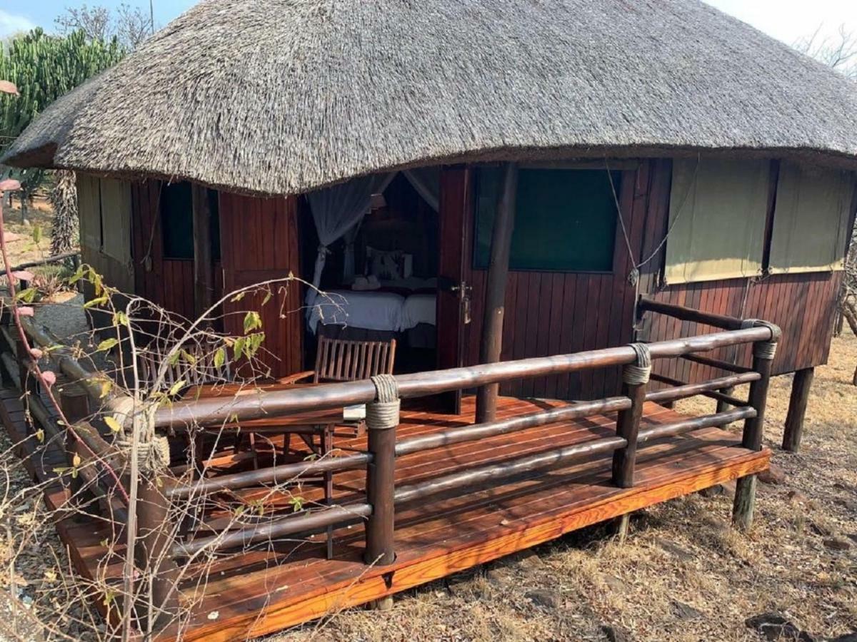 Shayamoya Tiger Fishing And Game Lodge 퐁골라 외부 사진