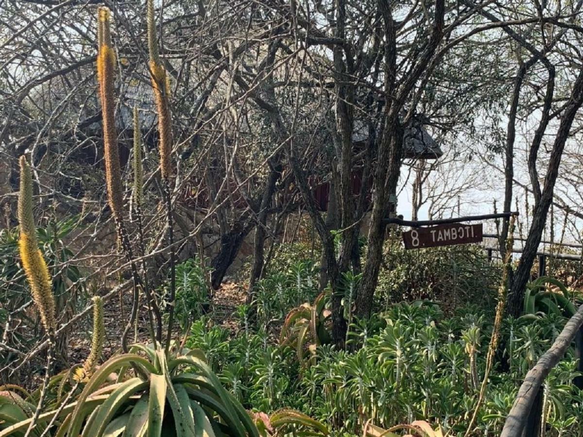 Shayamoya Tiger Fishing And Game Lodge 퐁골라 외부 사진